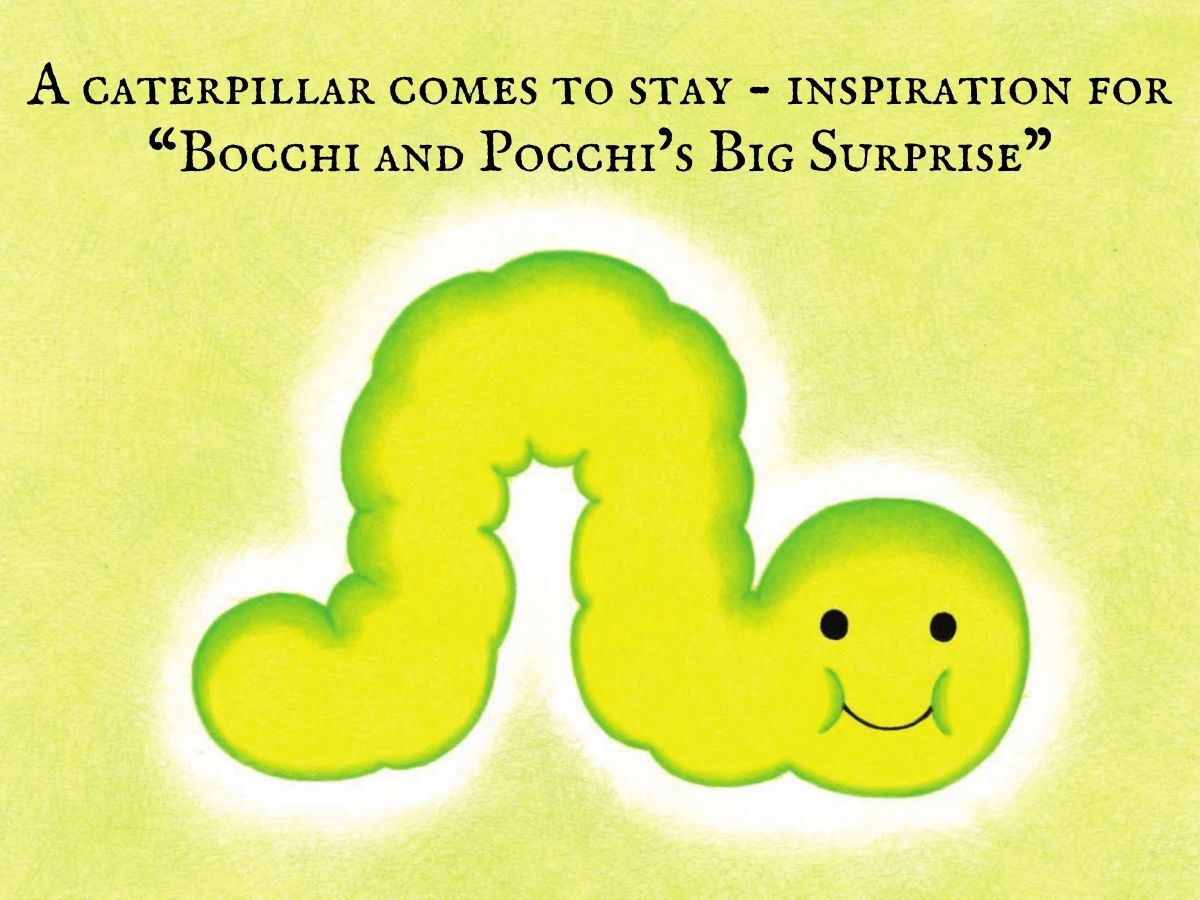 Read more about the article A caterpillar comes to stay – inspiration for “Bocchi and Pocchi’s Big Surprise”